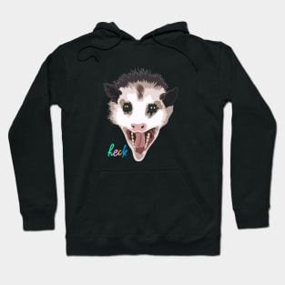 Possum Hoodie